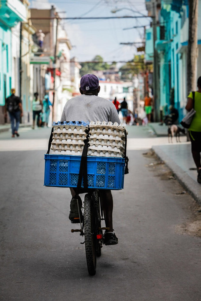 300 Reasons to Love H-----a Book by Heidi Hollinger